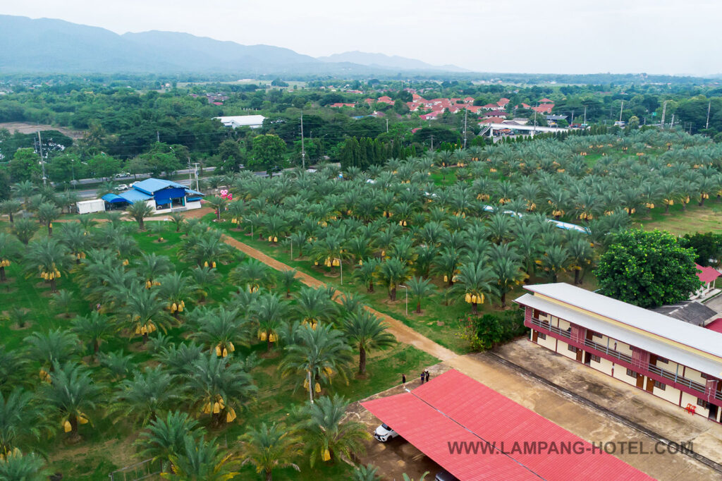 ห้องพัก โรงแรมบ้านสวนลุงอี๋ หอพัก ห้องเช่า ที่พักใกล้ศูนย์โรงพยาบาลมะเร็ง ลำปาง